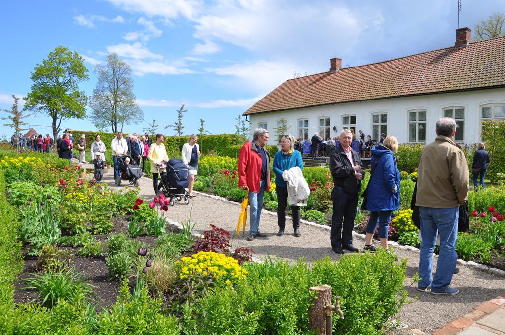 Svabesholms Kungsgards B&B Och Pensionat Stenshuvud Kivik Kültér fotó